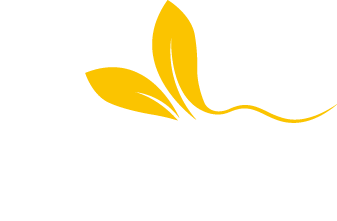Morr Inc.