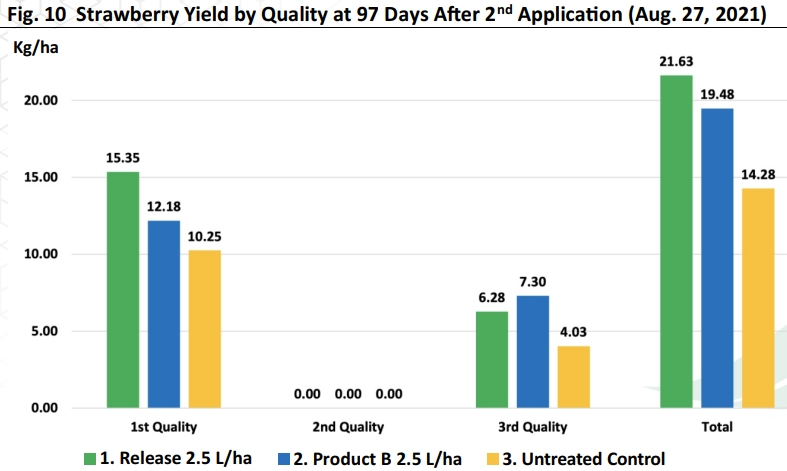 Fig. 10 Strawberry Yield by Quality at 97 Days A