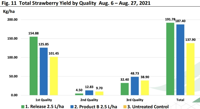 Fig 11 Total Strawberry Yield by Quality
