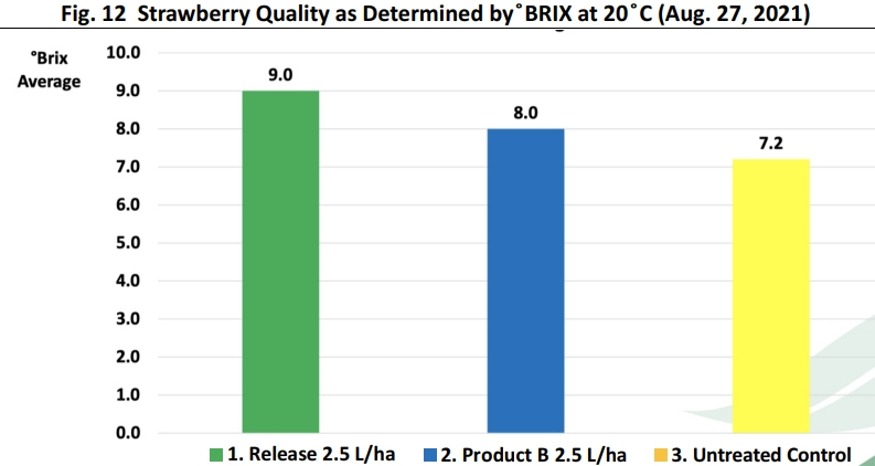 Case Study on Strawberry Plants Treated with Root Inoculant Release - News