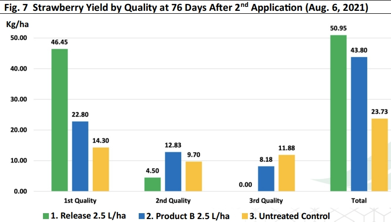Fig. 7 Strawberry Yield by Quality at 76 Days After 2nd Application