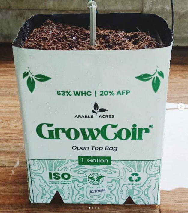 coco coir-grow-media
