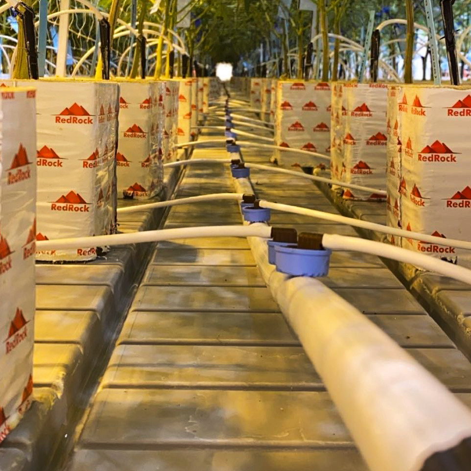 commercial plant nutrients