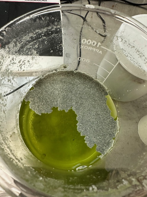 commercial plant nutrients