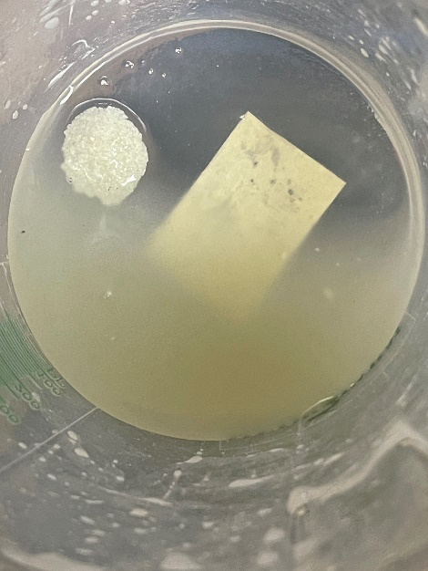 hydroponic plant nutrients