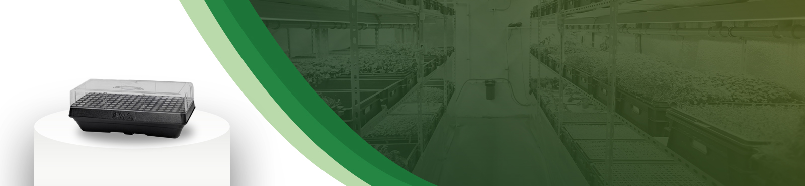 Propagation Trays & Domes