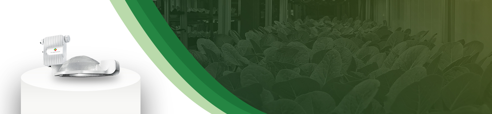 High-Pressure Sodium (HPS)