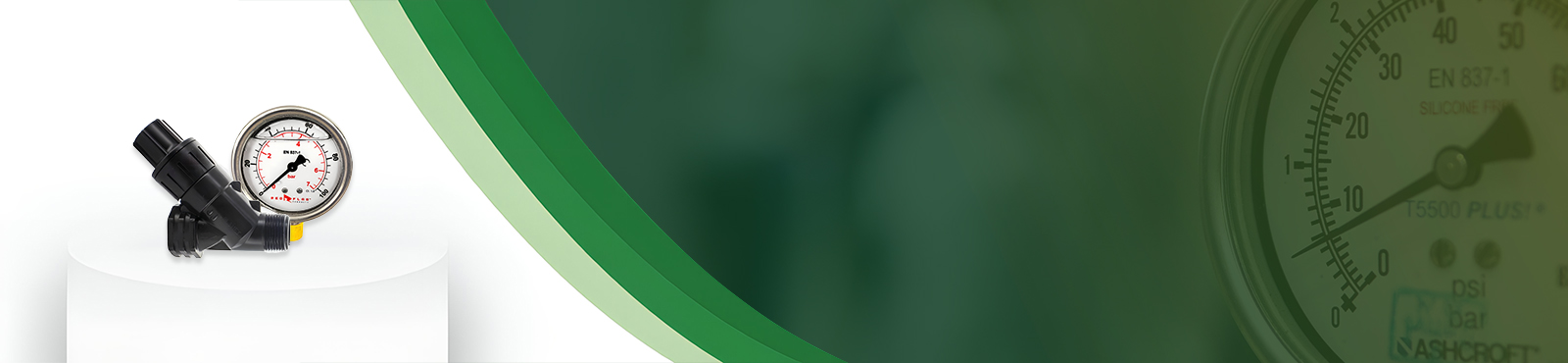 Pressure Gauges & Regulators