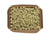 Grodan Rockwool Starter Plugs & Mini-Blocks