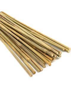 Natural Bamboo Plant Support Stakes