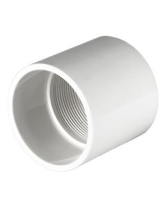 PVC Female Adapter - Schedule 40 - White - Socket x FPT
