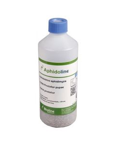 Aphidoline - Aphidoletes aphidimyza