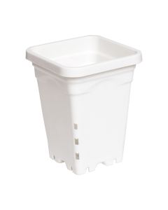 Arable Acres Square Wild-White Nursery Pot - Bottom & Side Drainage