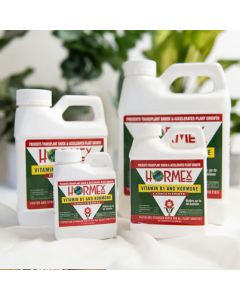 Hormex Liquid Concentrate
