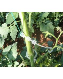 Arable Acres Tomato Plant Support