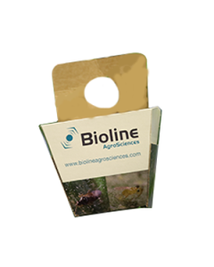 Universal Release Box (Pack of 50)