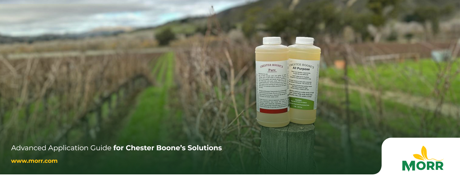 Advanced Application Guide for Chester Boone’s Solutions