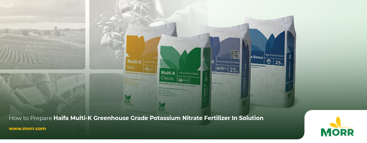 How to Prepare Haifa Multi-K Greenhouse Grade Potassium Nitrate Fertilizer In Solution