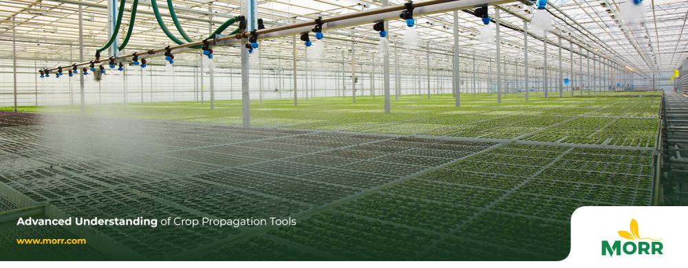 Advanced Understanding of Crop Propagation Tools