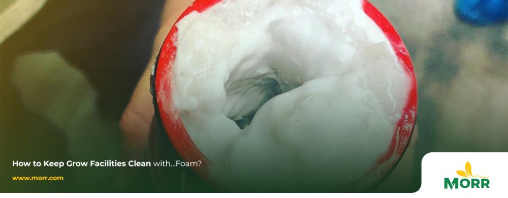How to Keep Grow Facilities Clean with…Foam?