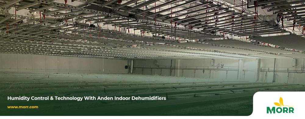 Humidity Control & Technology with Anden Indoor Dehumidifiers