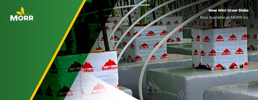 New Mini Grow Slabs Now Available at MORR Inc.