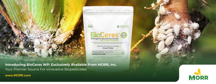 Introducing BioCeres WP: Exclusively Available From MORR, Inc. – Your Premier Source for Innovative Biopesticides