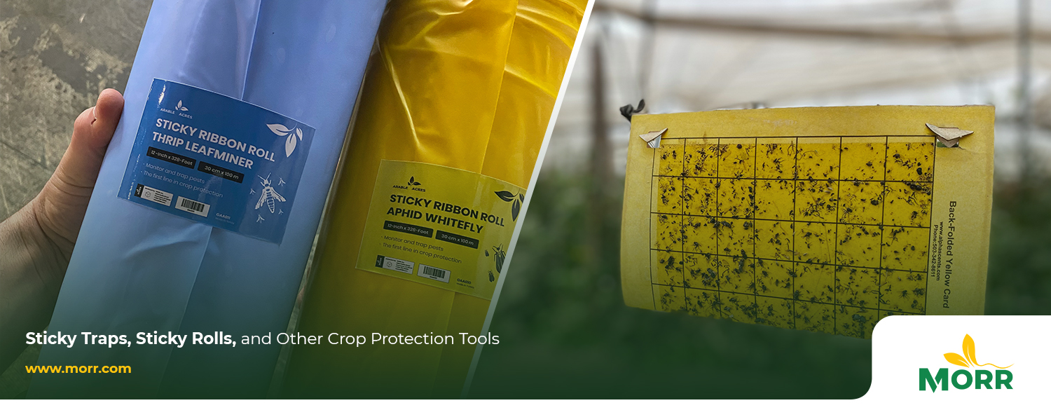 Sticky Traps, Sticky Rolls, and Other Crop Protection Tools