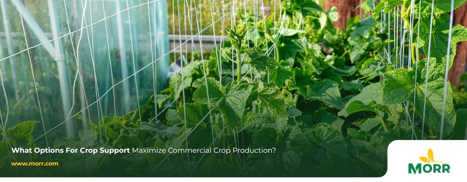 MORR Inc. - Wholesale Agricultural Grow Supplies, Grow Equipment ...
