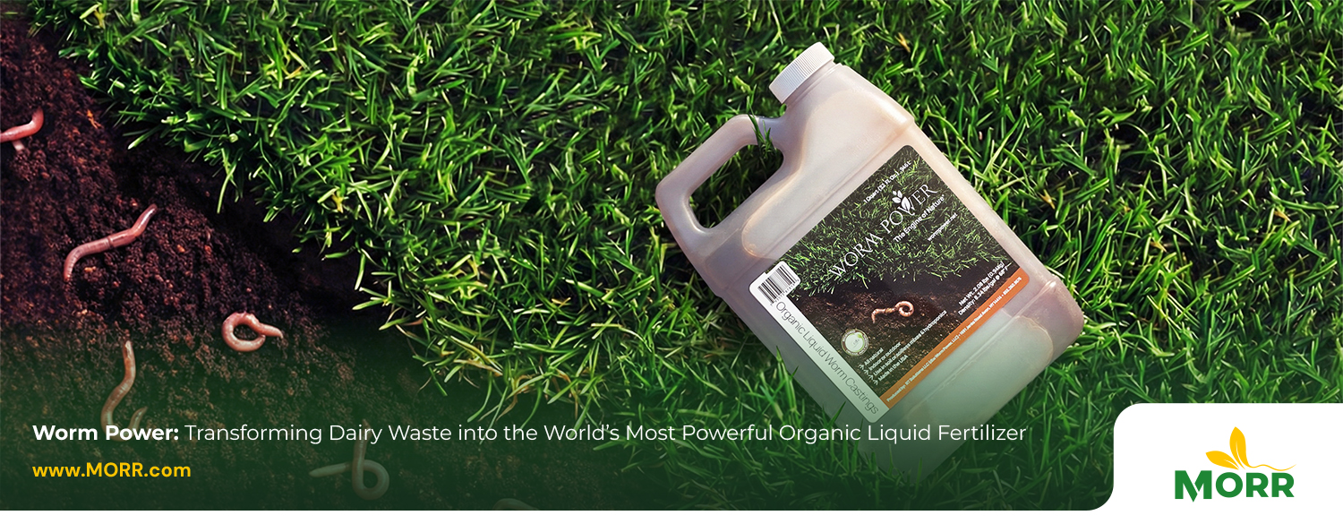 Worm Power: Transforming Dairy Waste into the World’s Most Powerful Organic Liquid Fertilizer