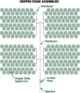 DRIPPER STAKE ASSEMBLIES