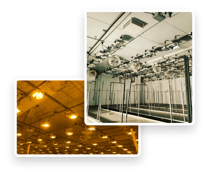 Horticultural Lighting Systems