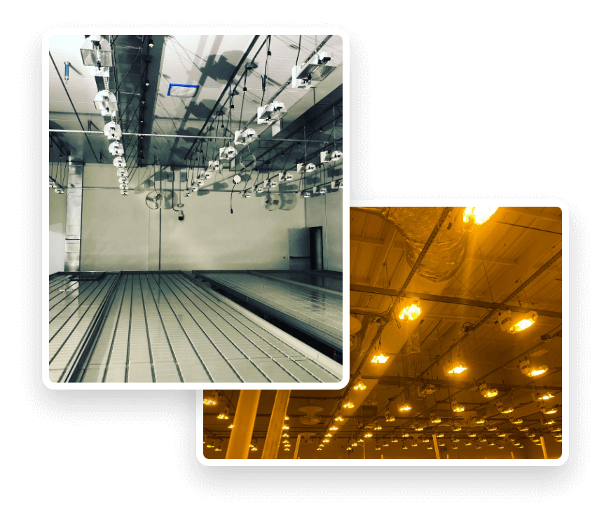Horticultural Lighting Systems